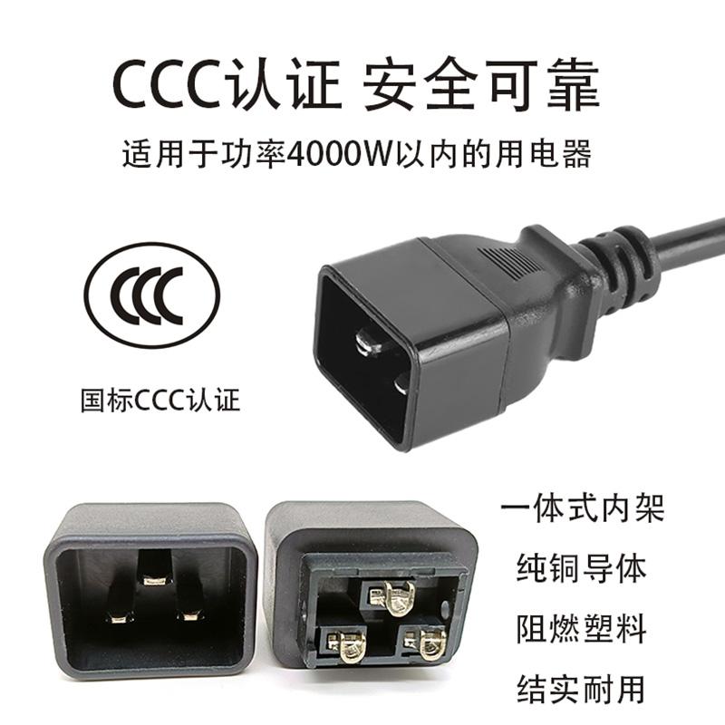 C19轉(zhuǎn)C20互聯(lián)電線組件